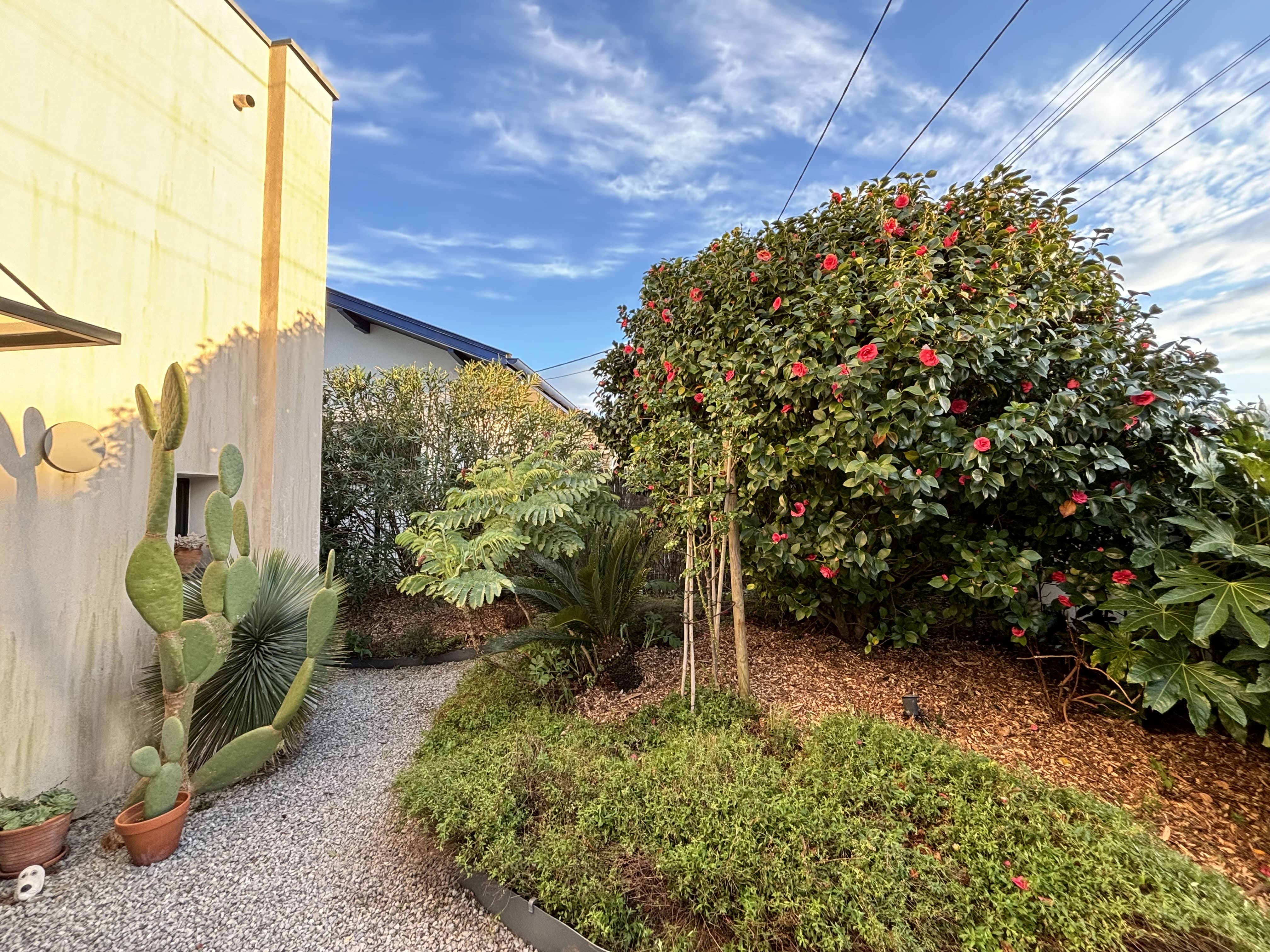 Aménagement extérieur avec plantation de massifs par Etxe Lurra au Pays basque