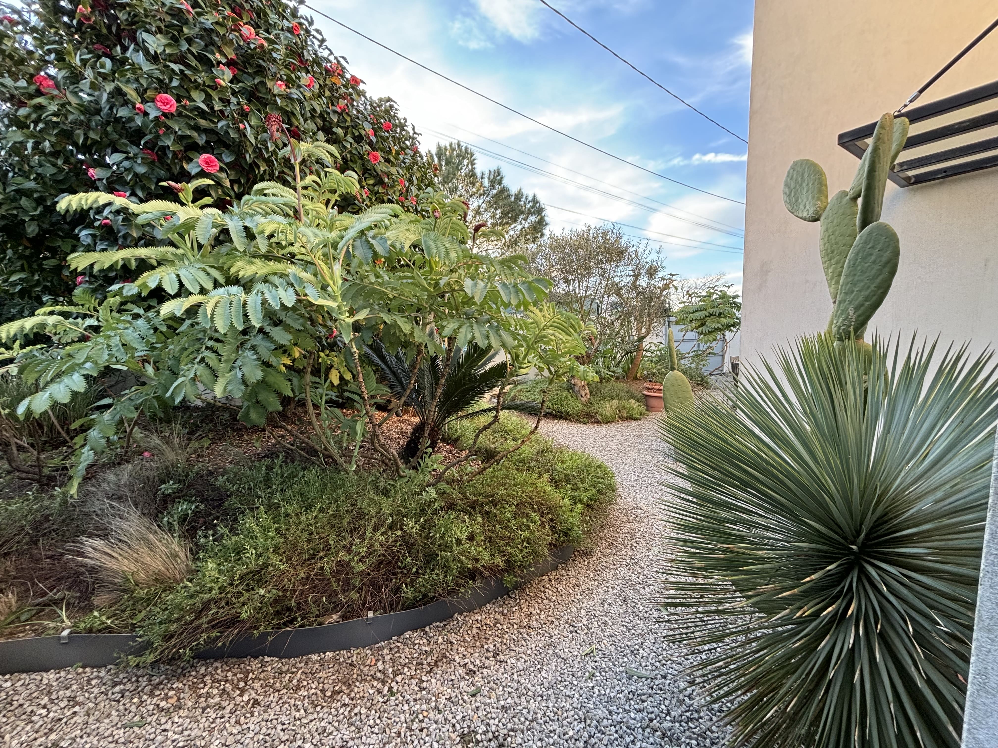 Aménagement extérieur avec plantation de massifs par Etxe Lurra au Pays basque