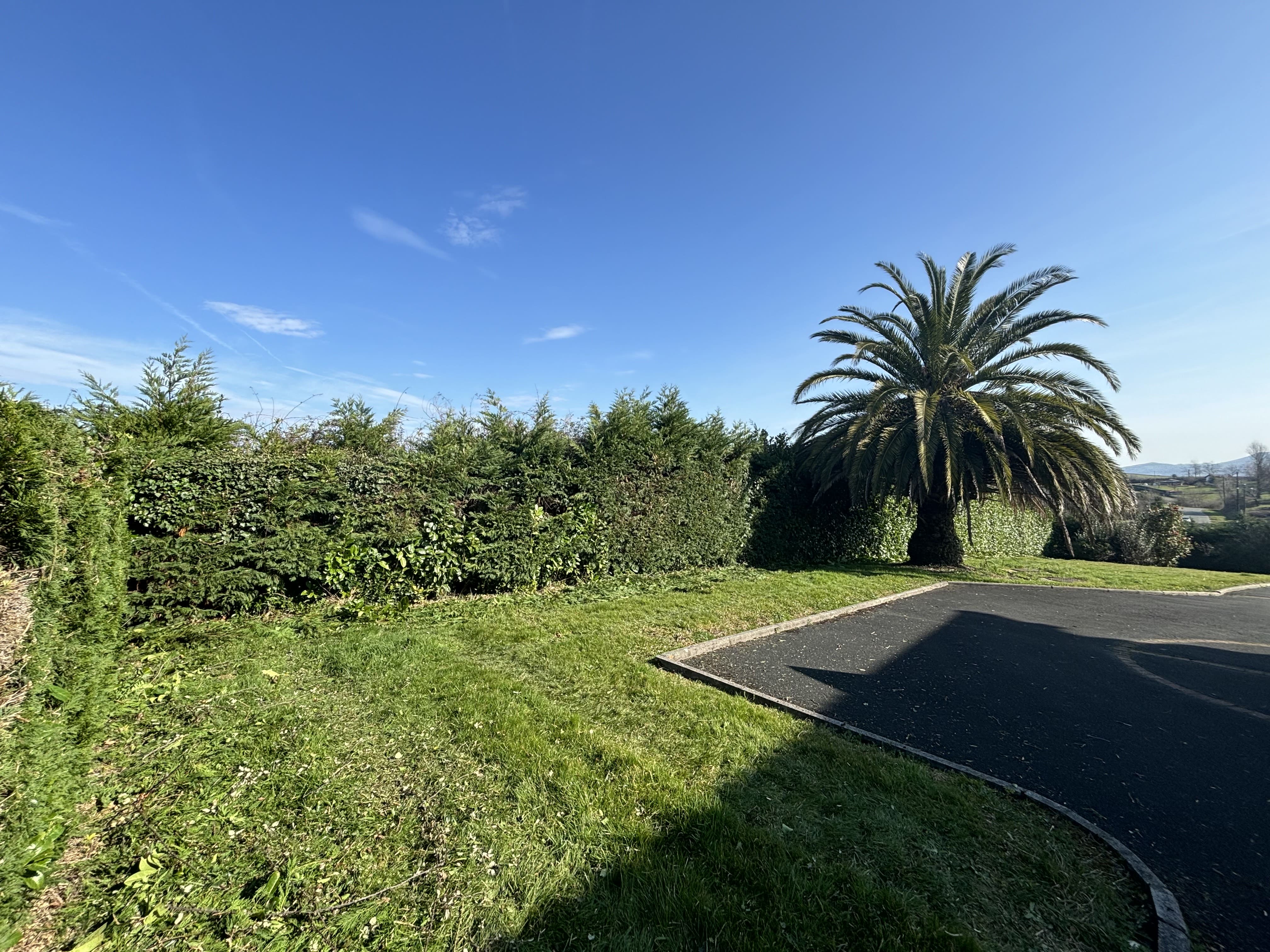 Rabattage de haie par Etxe Lurra, paysagistes au Pays basque